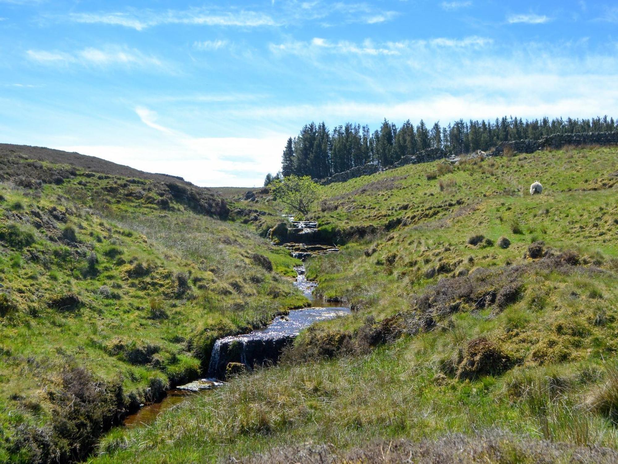 فيلا Spindle Well Barn Elsdon المظهر الخارجي الصورة