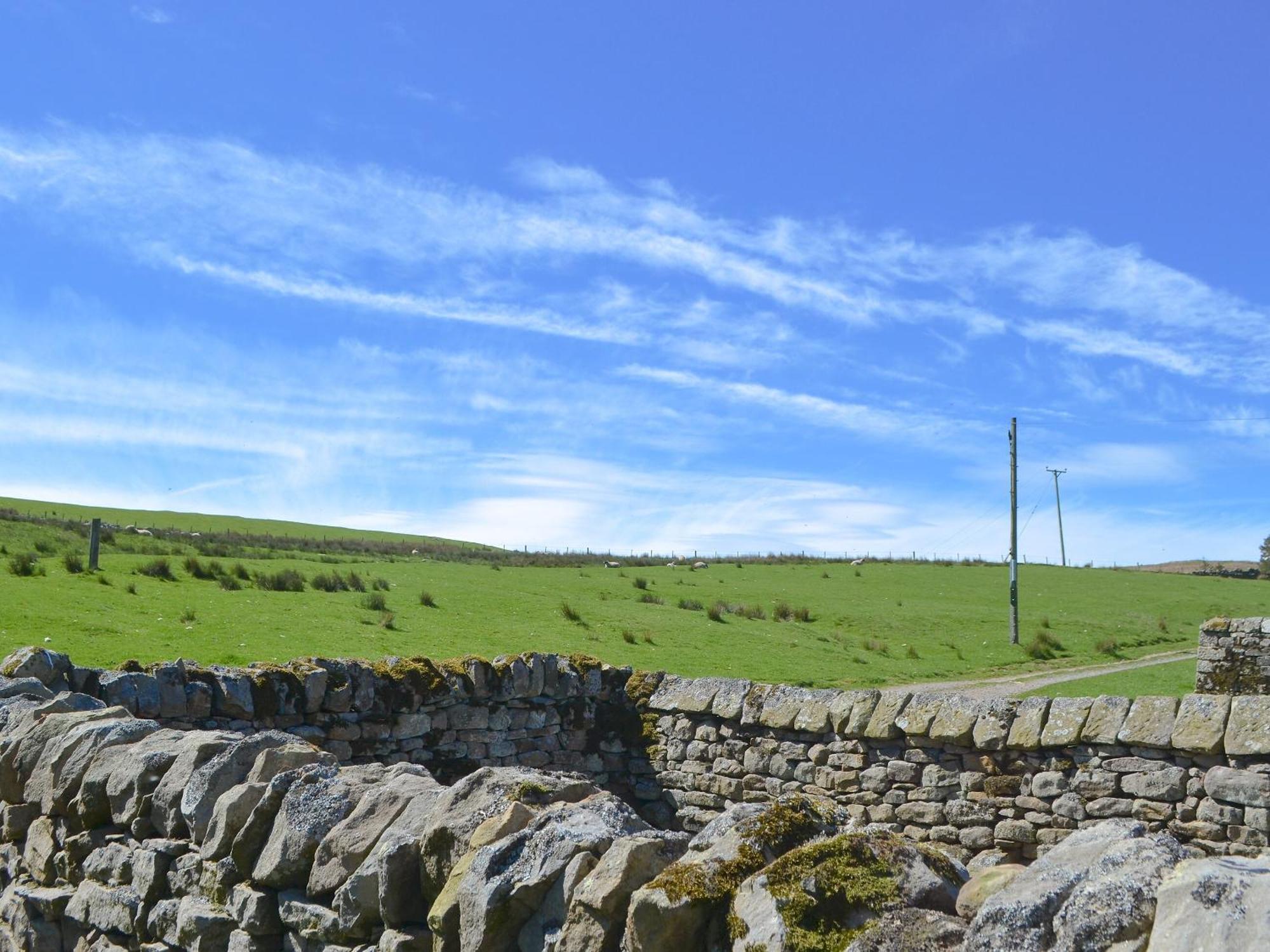 فيلا Spindle Well Barn Elsdon المظهر الخارجي الصورة